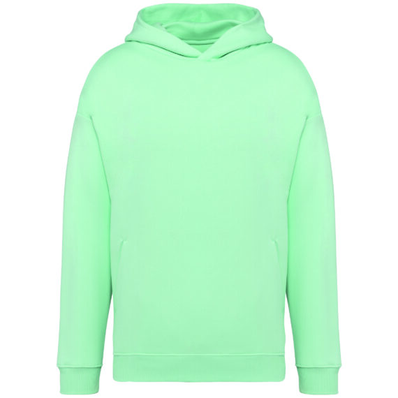 À partir de* 26,39€ - Native Spirit NS408 - Sweat-Shirt À Capuche Oversize Unisexe Écoresponsable