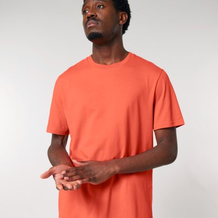 Stanley Stella - Creator 2.0